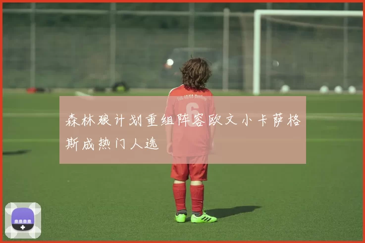 森林狼计划重组阵容欧文小卡萨格斯成热门人选