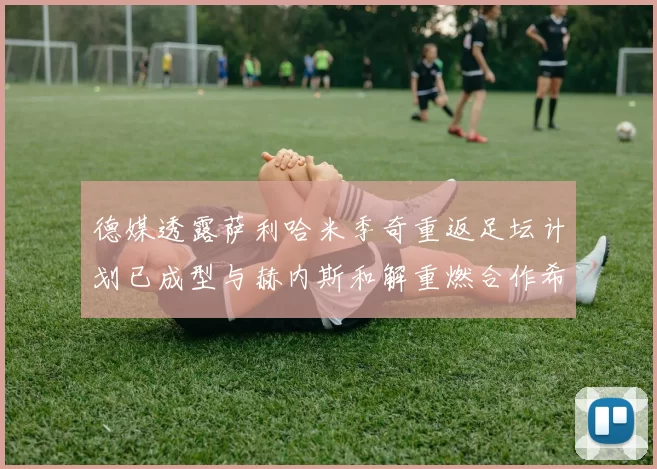 德媒透露萨利哈米季奇重返足坛计划已成型与赫内斯和解重燃合作希望